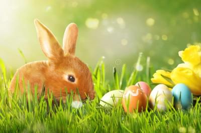 How Did Easter Become Represented by an Easter Bunny?