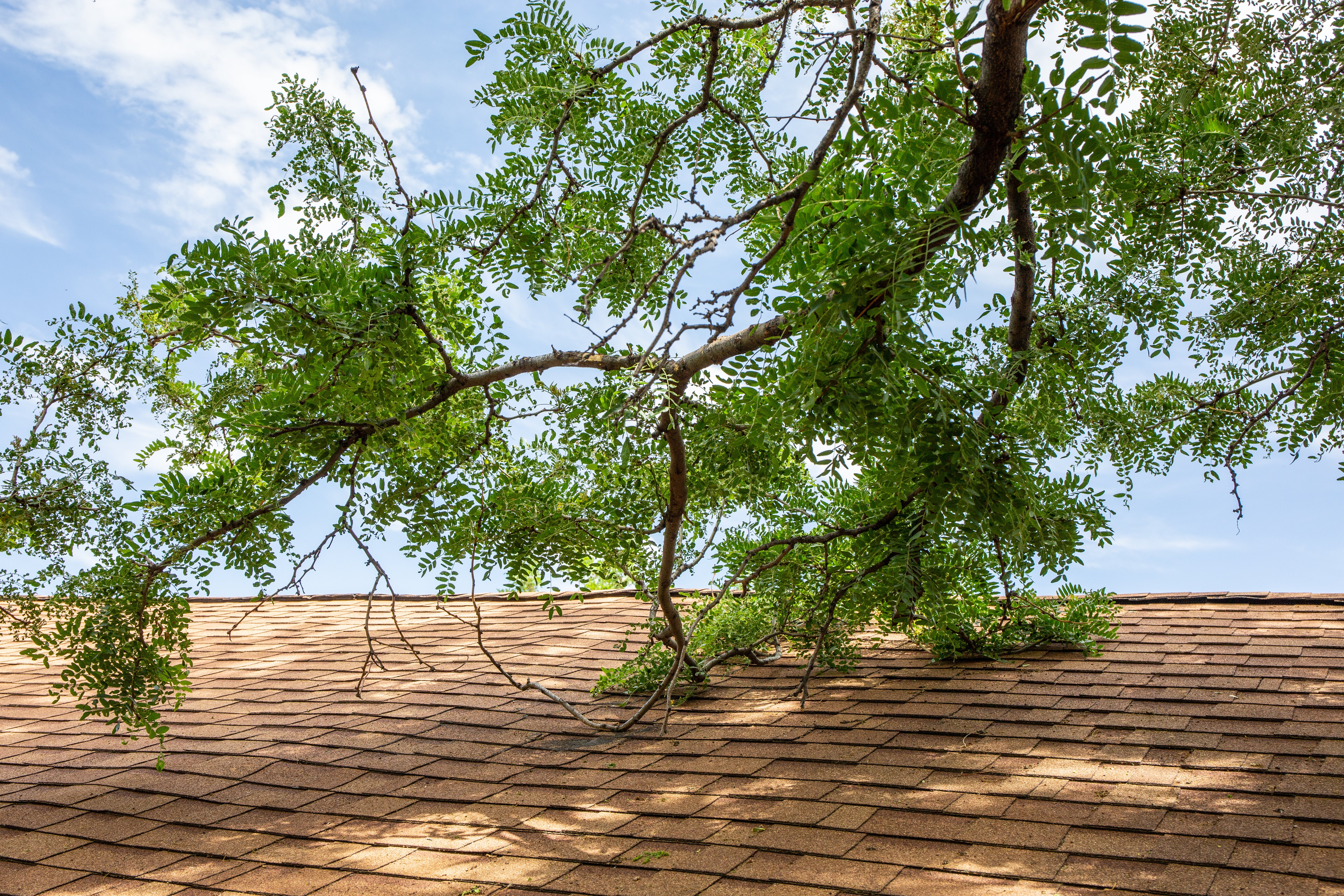 Get Ready for Spring: Safeguard Your Home with These Tips