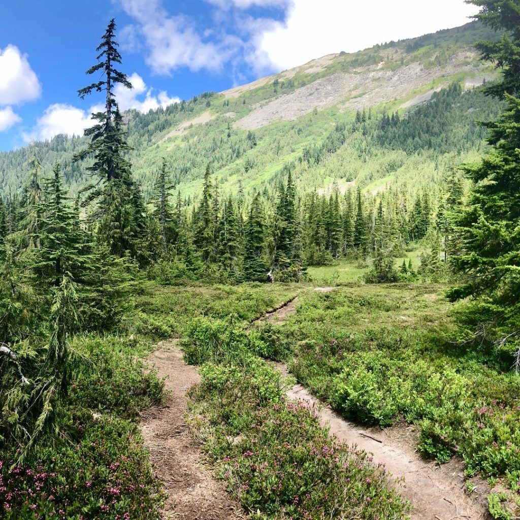 Washington State Hiking Recommendations Near Seattle