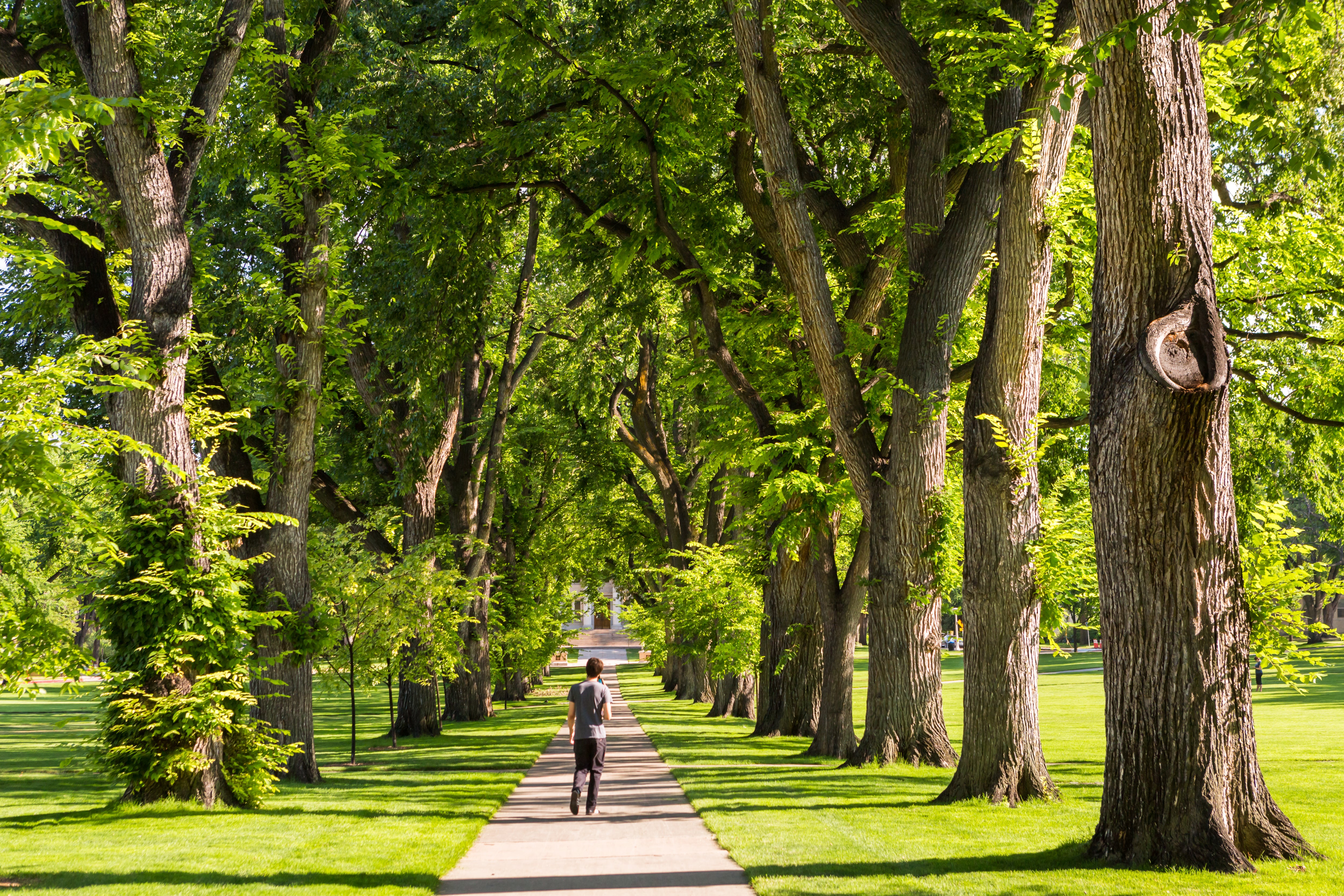 Travel + Leisure Names Fort Collins Most Peaceful Place to Live in the United States