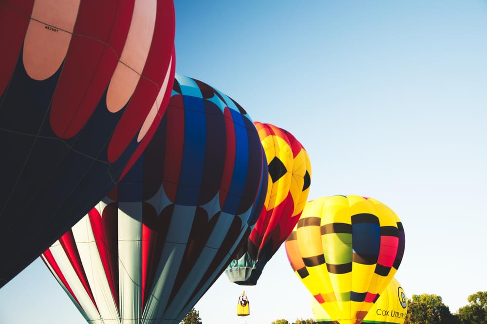 can u take dogs into balloon festival