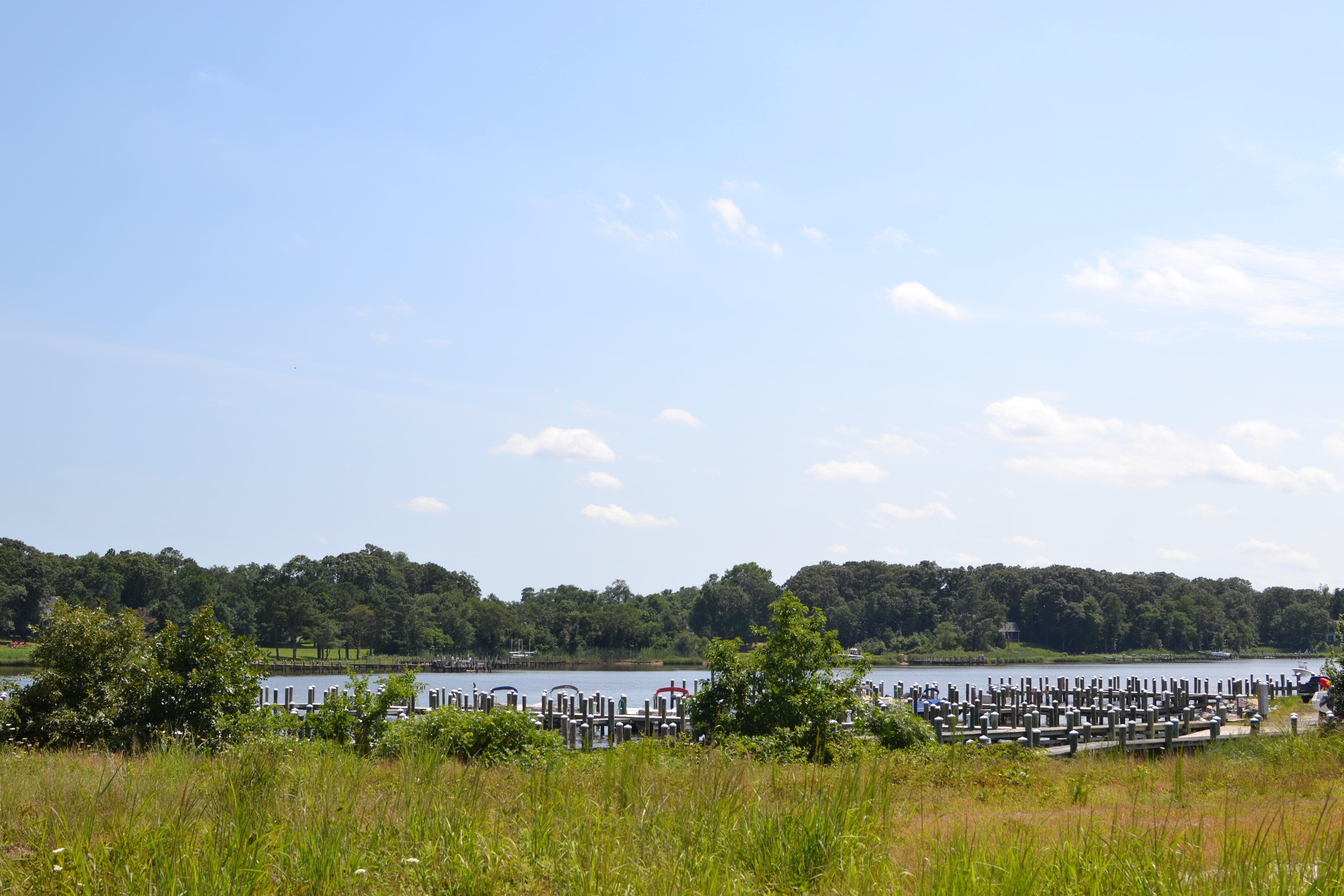 New Homes for Sale in Dagsboro, DE. Marina at Pepper's Creek from
