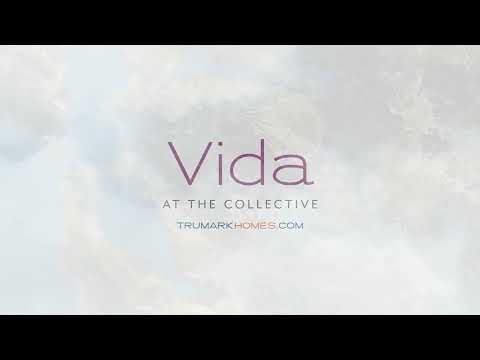 Vida at The Collective, Manteca Video
