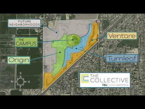 The Collective Overview Video