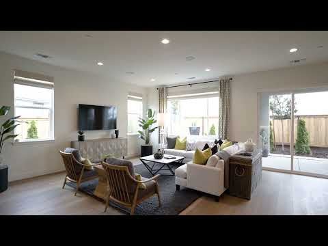 Dawn at the Collective | Residence 3 Video