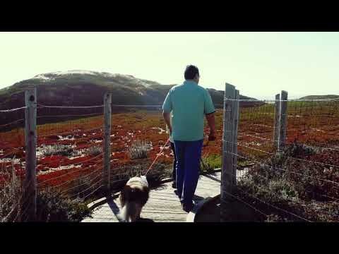 Sea Haven by Trumark Homes Video