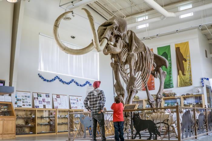 The Fossil Discovery Center of Madera County