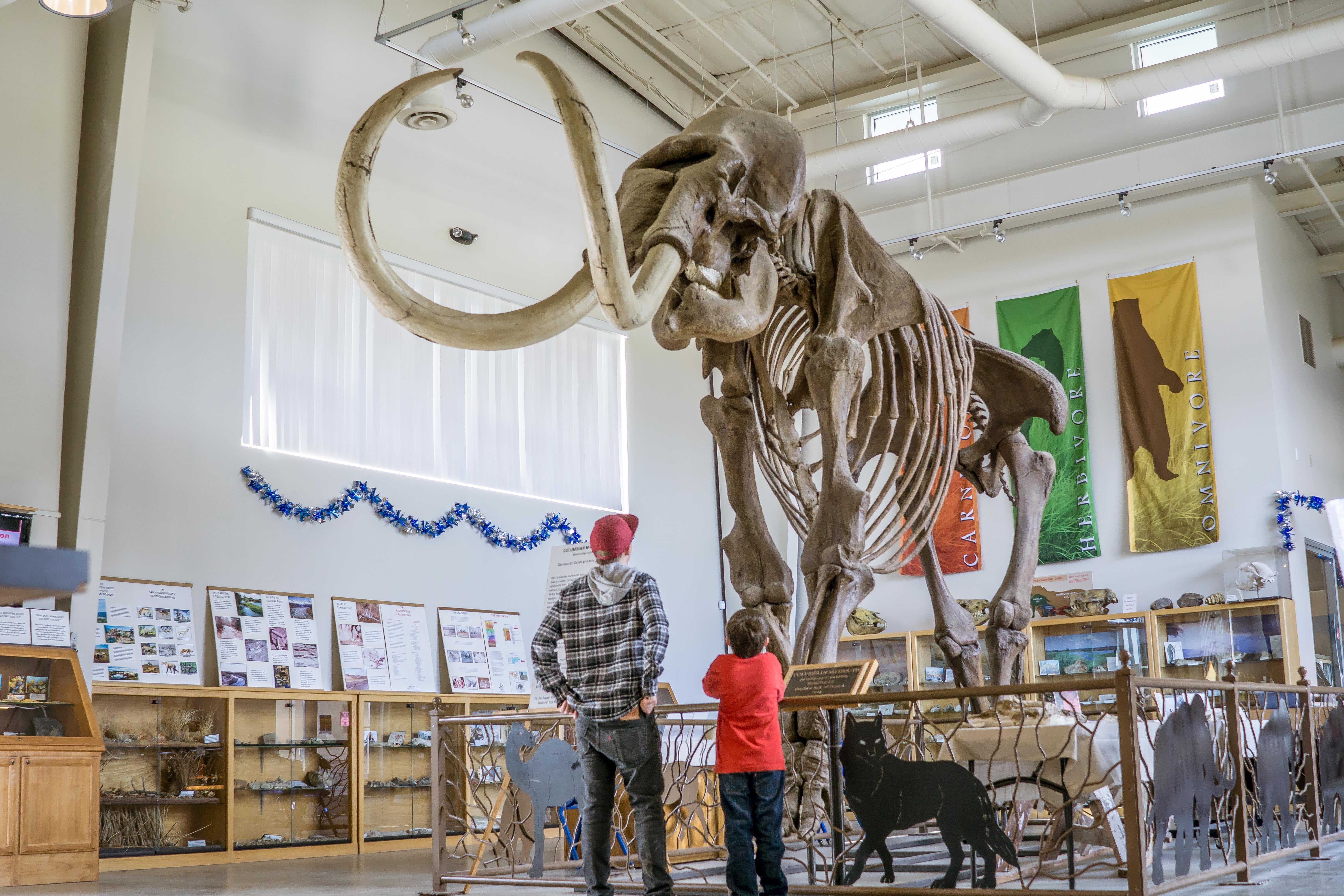 The Fossil Discovery Center of Madera County