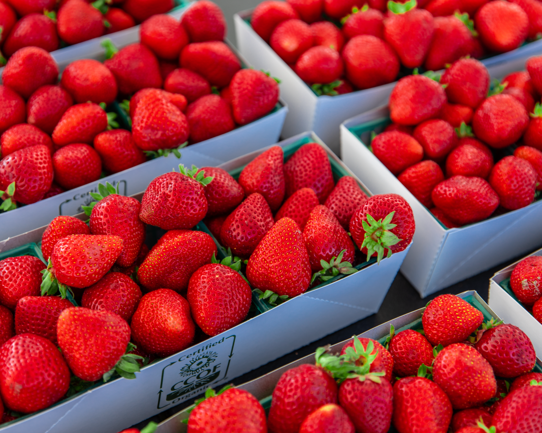 fresh strawberries