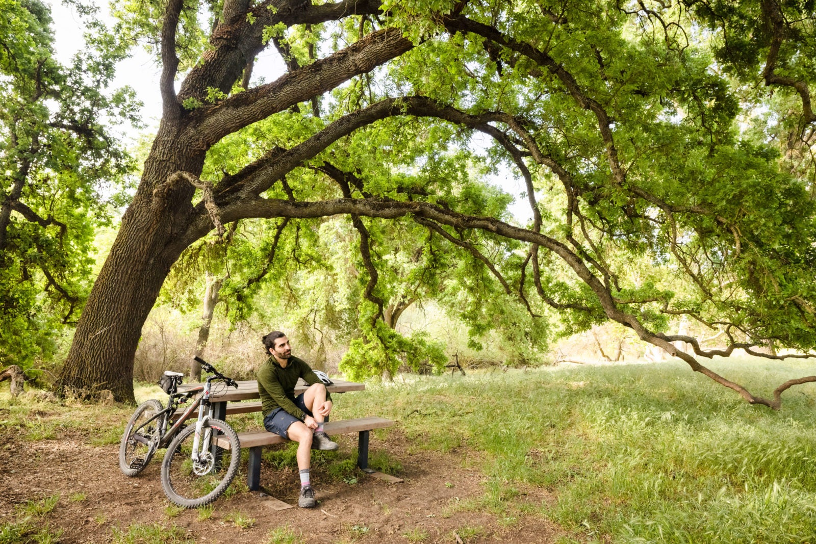Trail in Tesoro Viejo