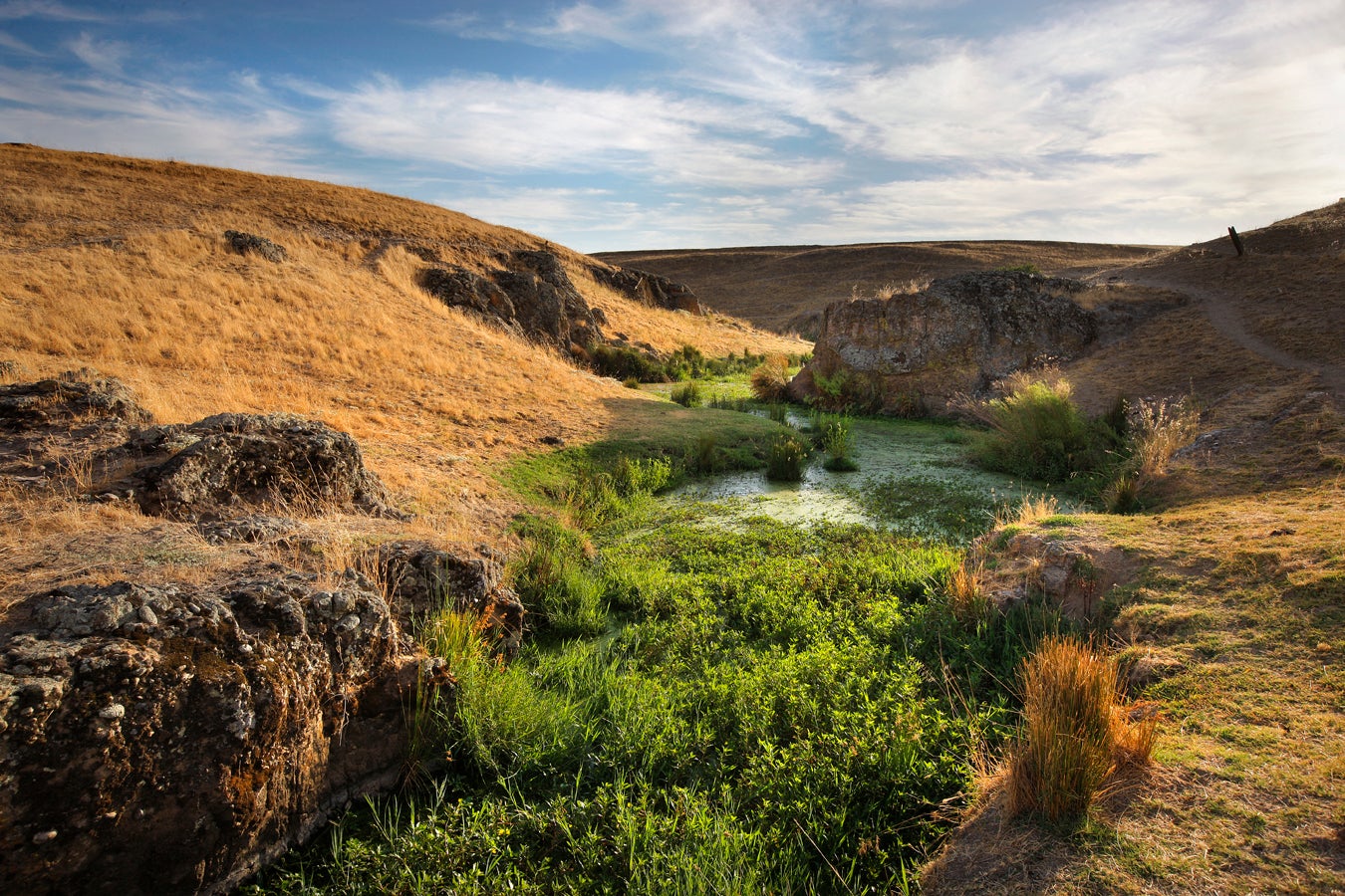 Trail in Tesoro Viejo