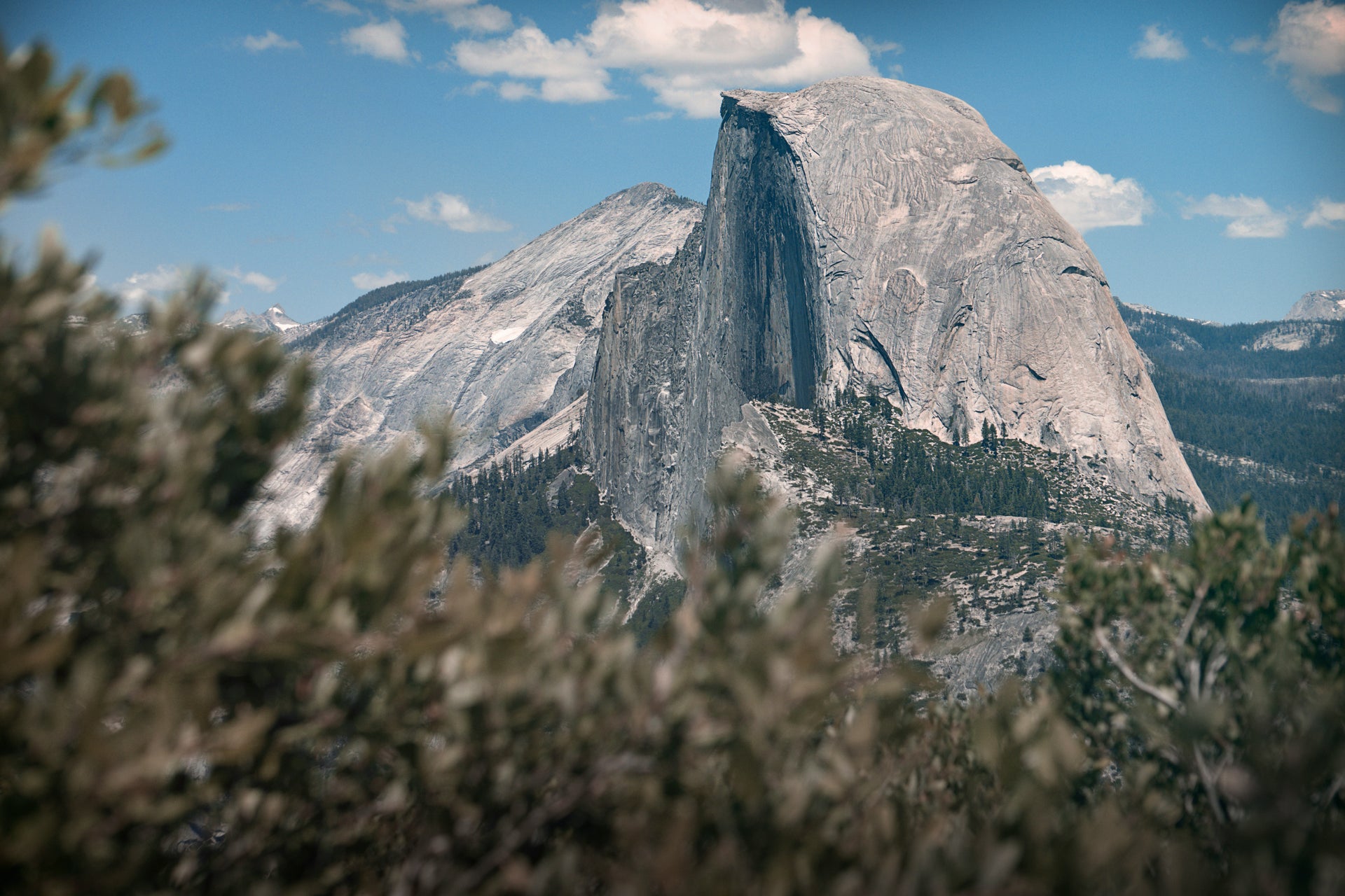 Half Dome Photo by Matthew Fournier