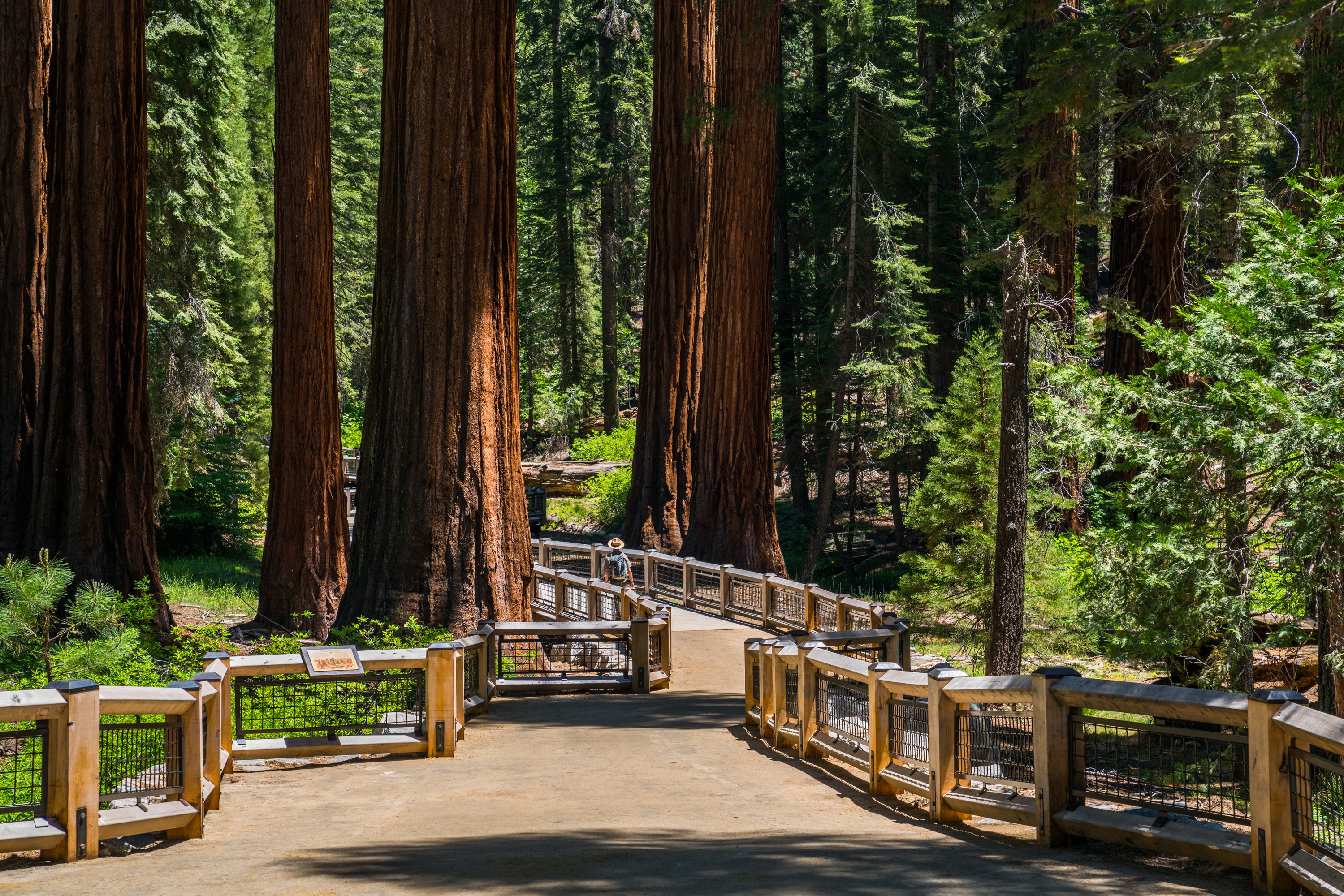 Yosemite Trail