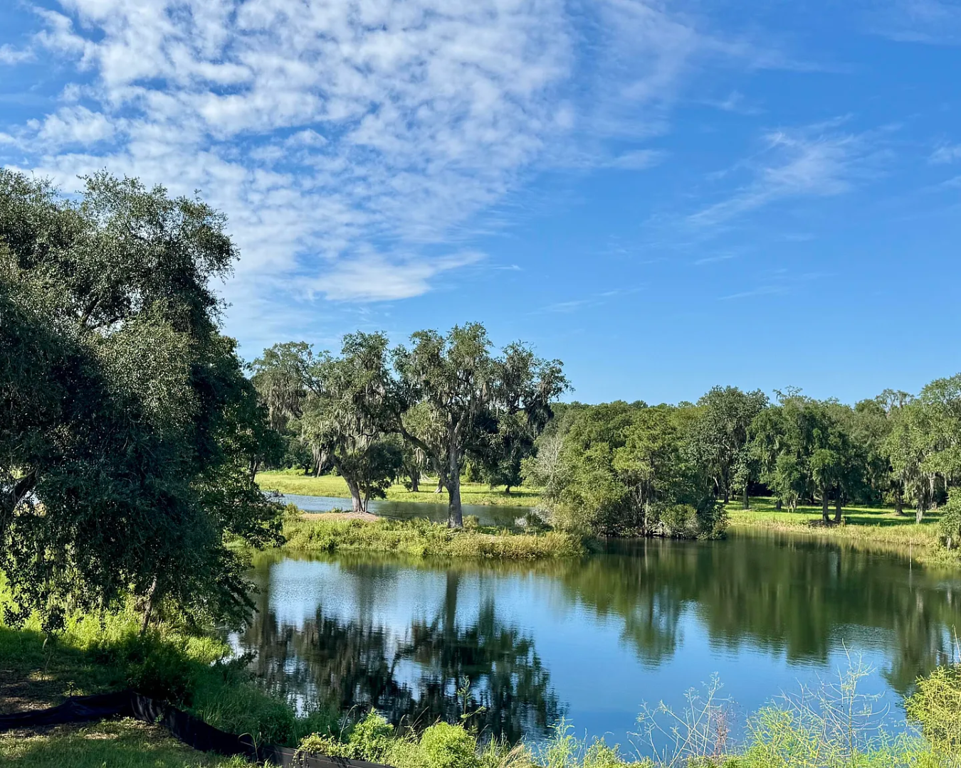 2964 Lodge Berry Lane - featured elevation in Johns Island South Carolina