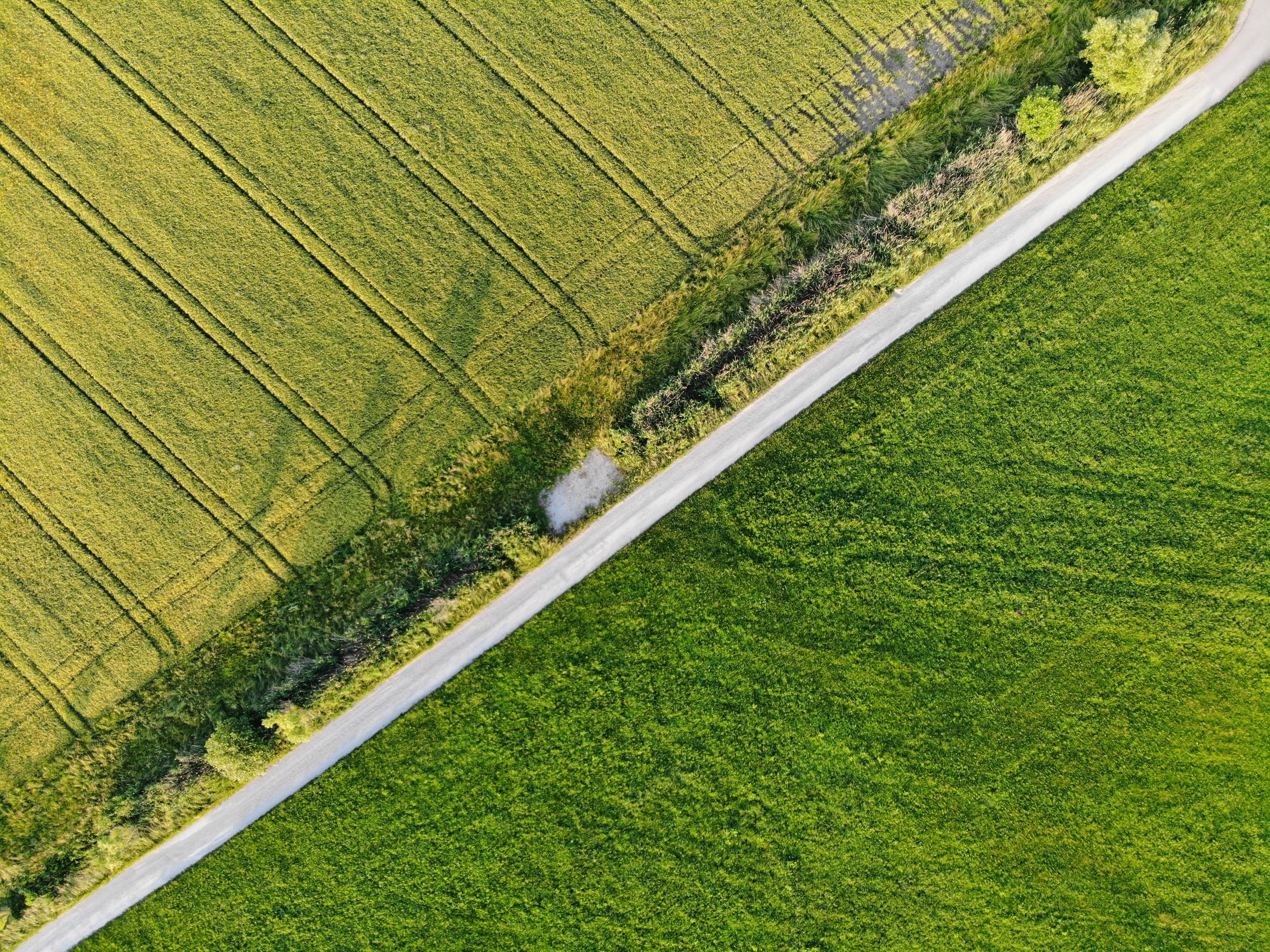 What You Should Know About Buying Land