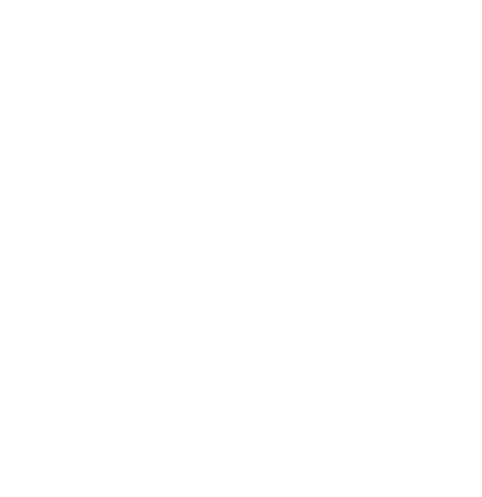 Legacy South Logo