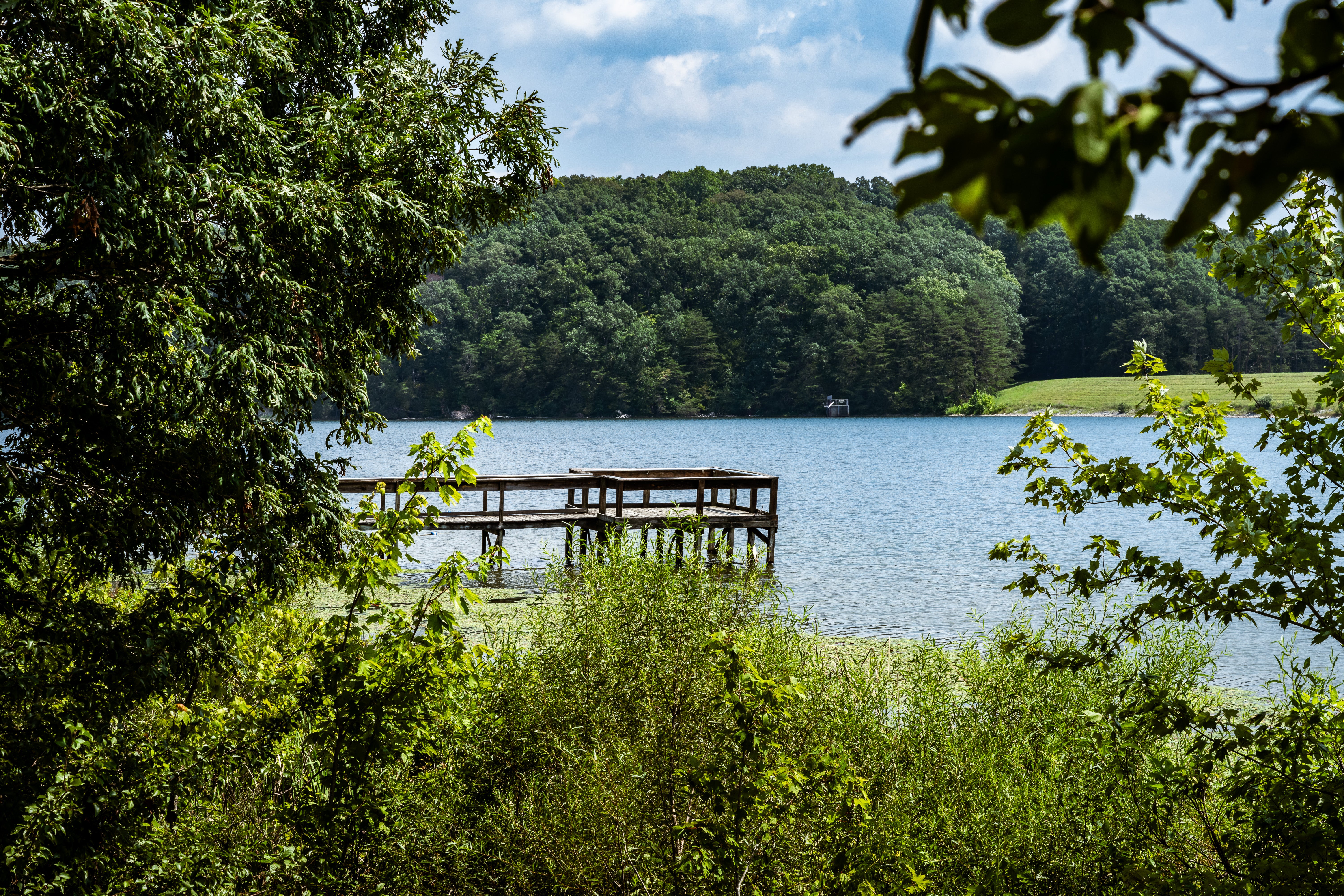Homes for sale in KY
