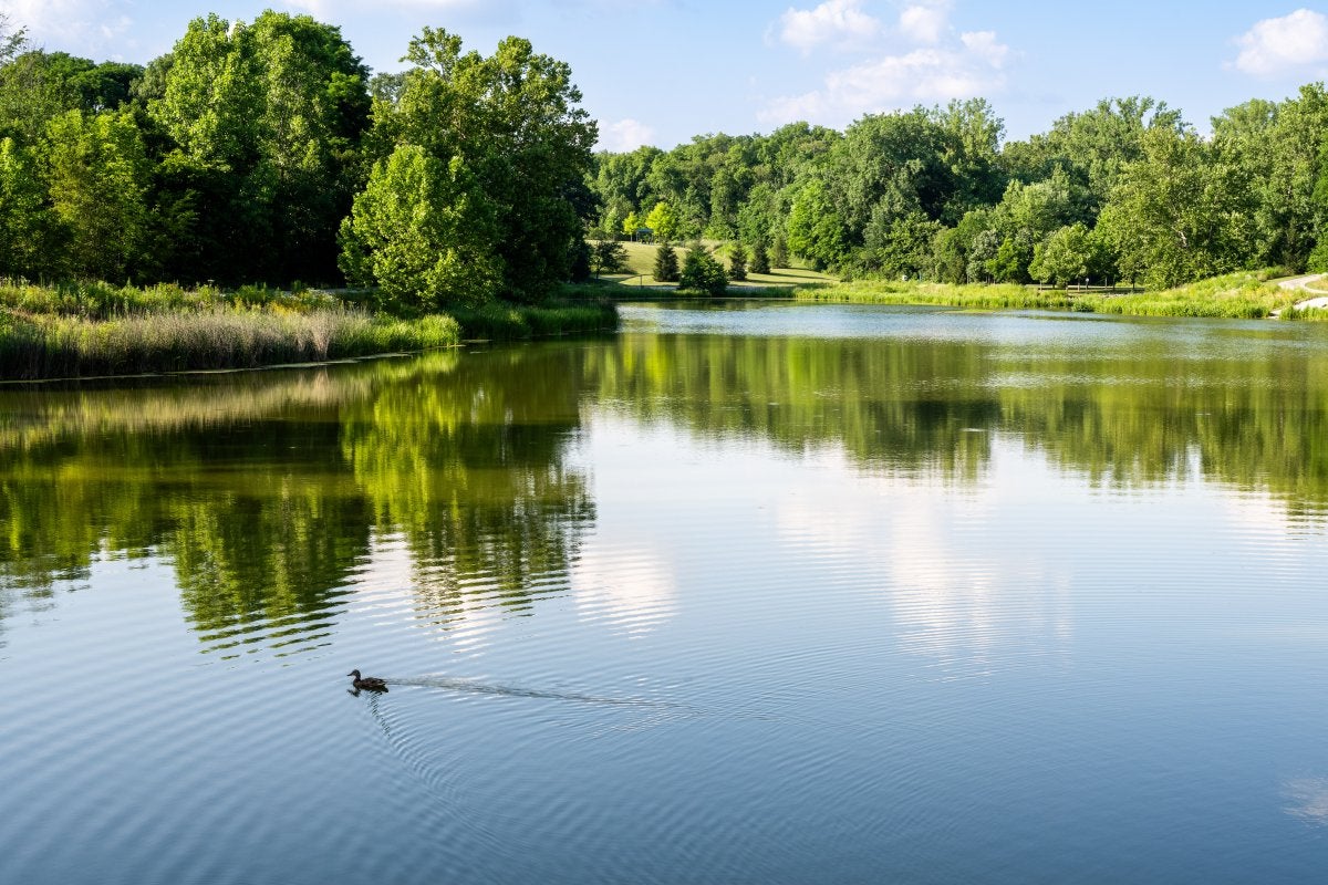 New Home Communities Across Avon