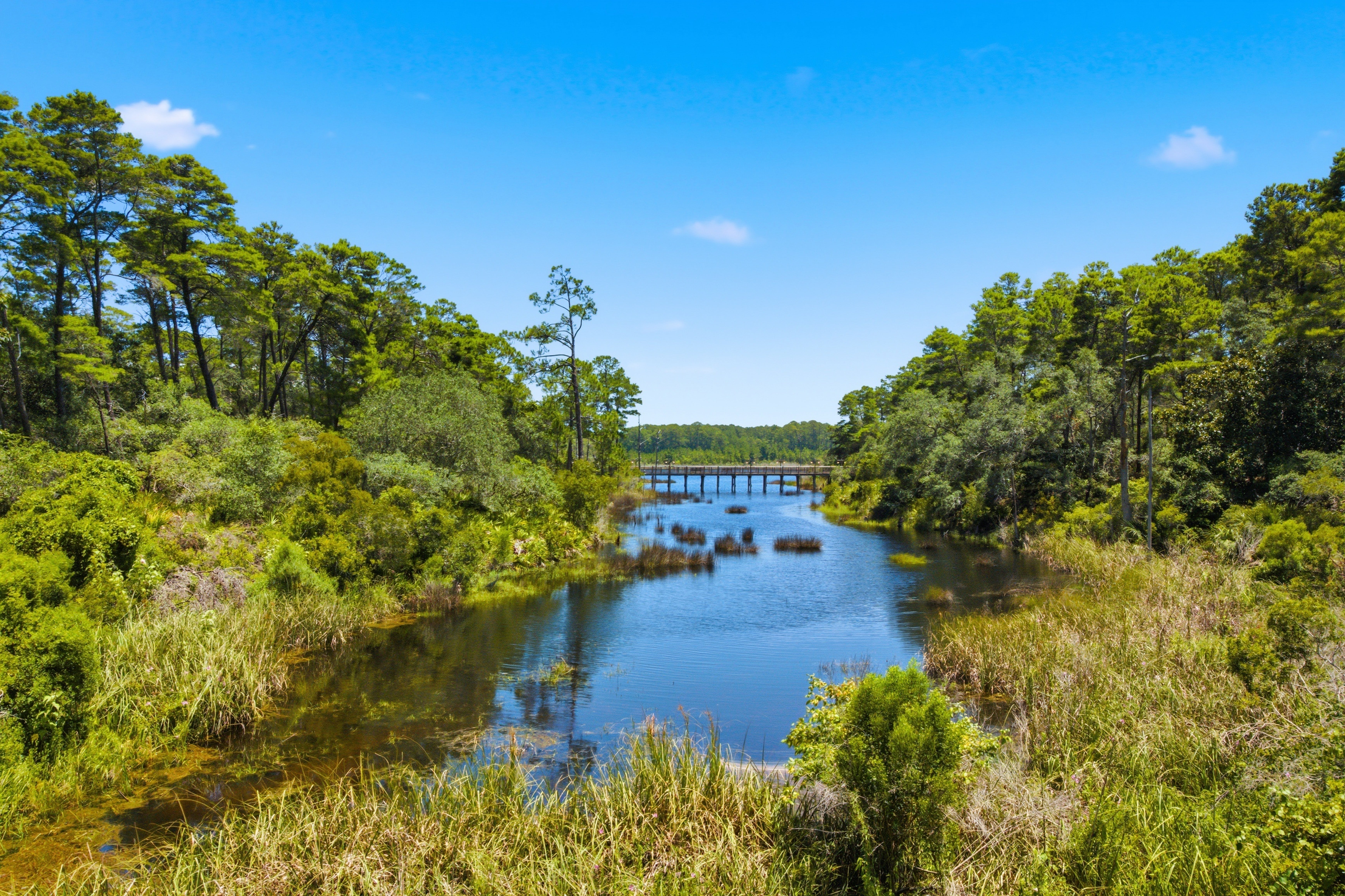 None, FL New Homes for Sale