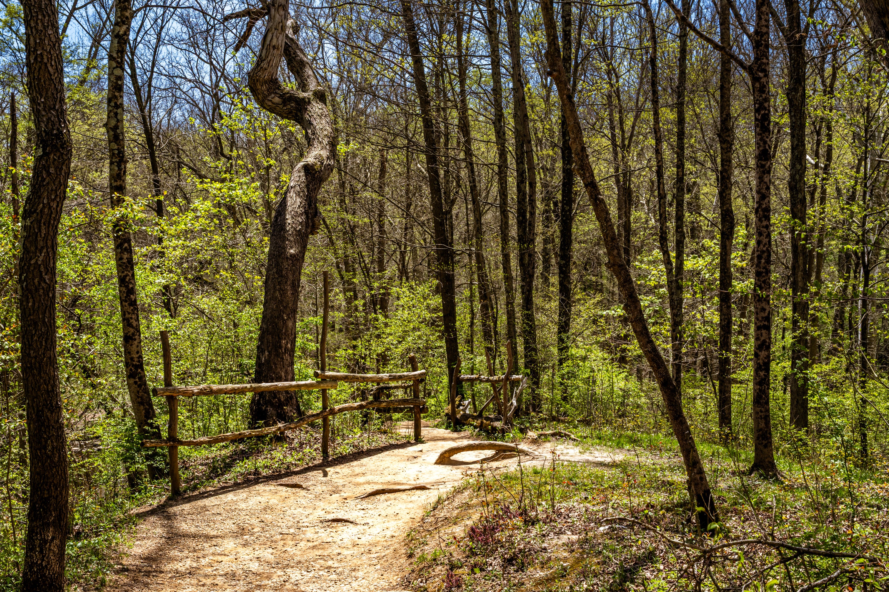 Homes for sale in OH