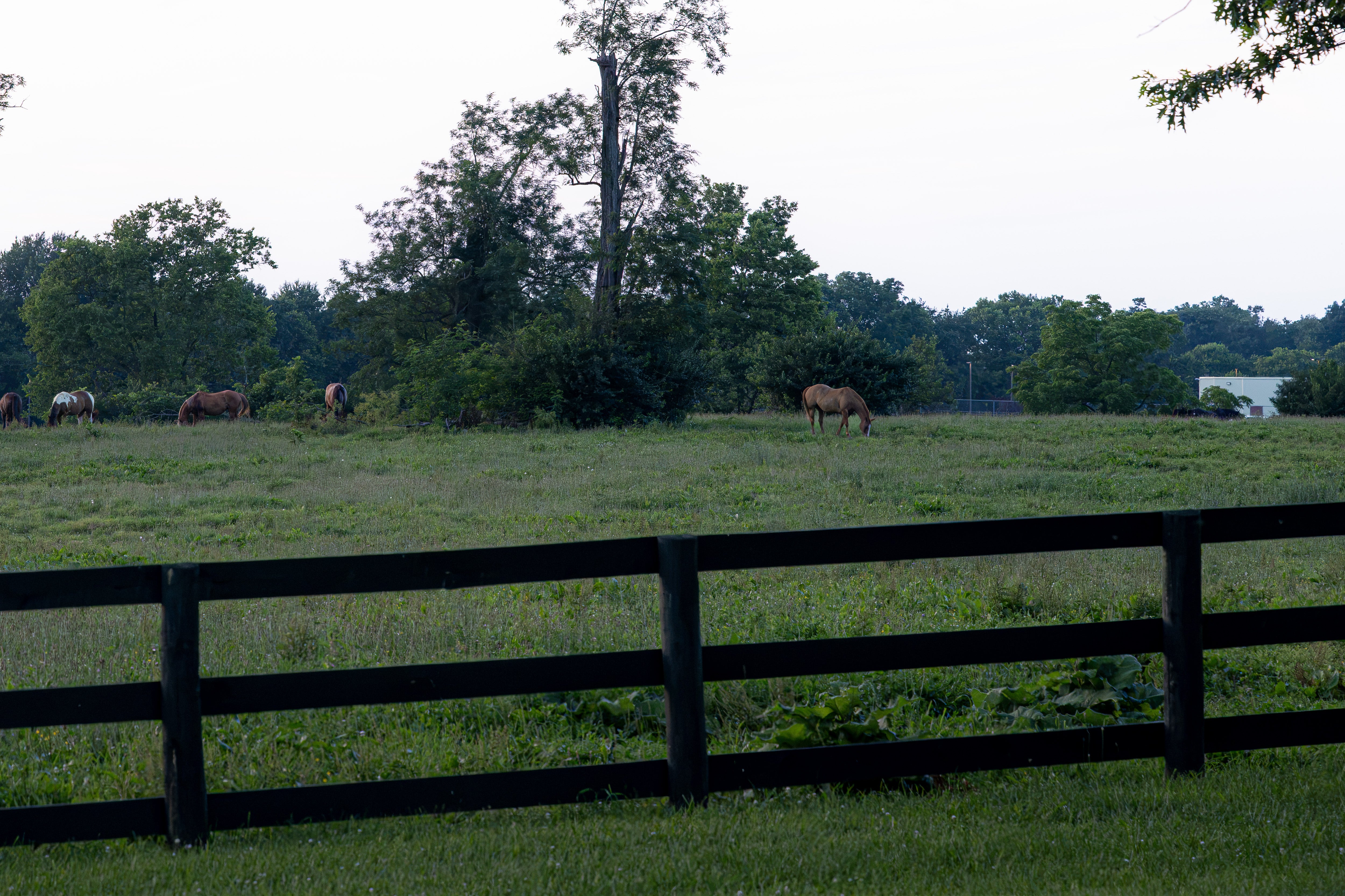 New homes in None, KY