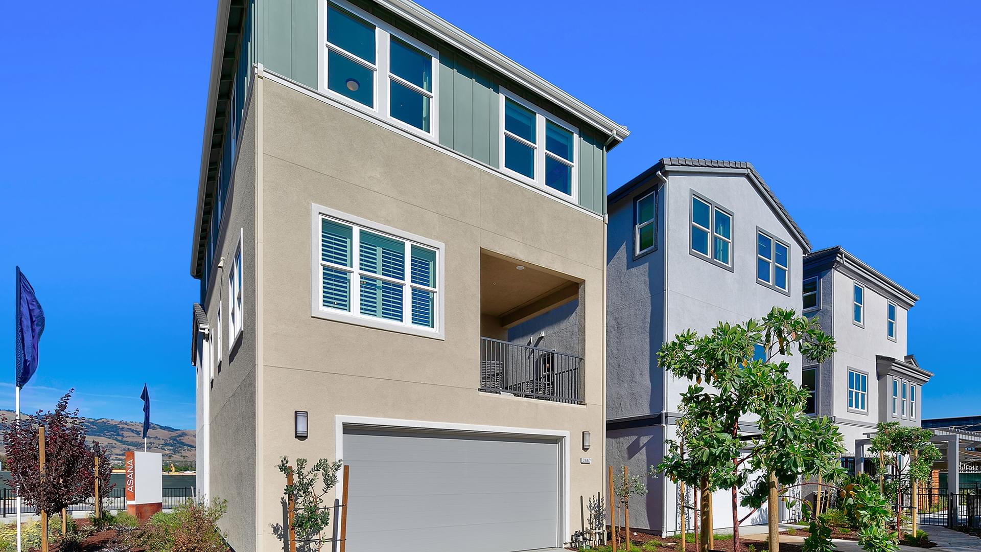 New Homes in San Jose, CA Asana from DeNova Homes